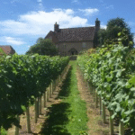 Winemaker Dinner with Christopher Cooke