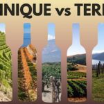 Technique vs Terroir
