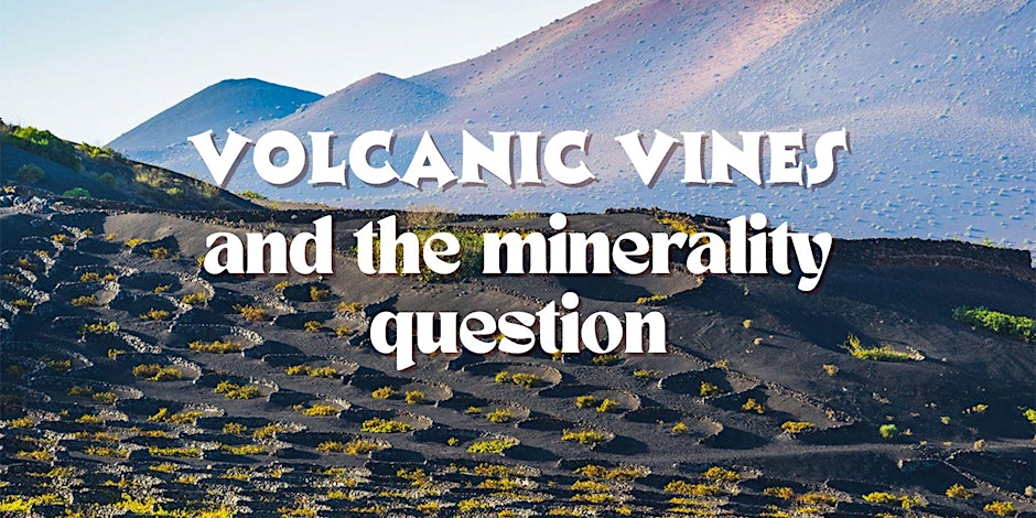 Volcanic Vines (and the 'minerality' question...)